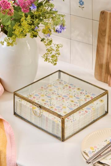 Caja cristal servilletas