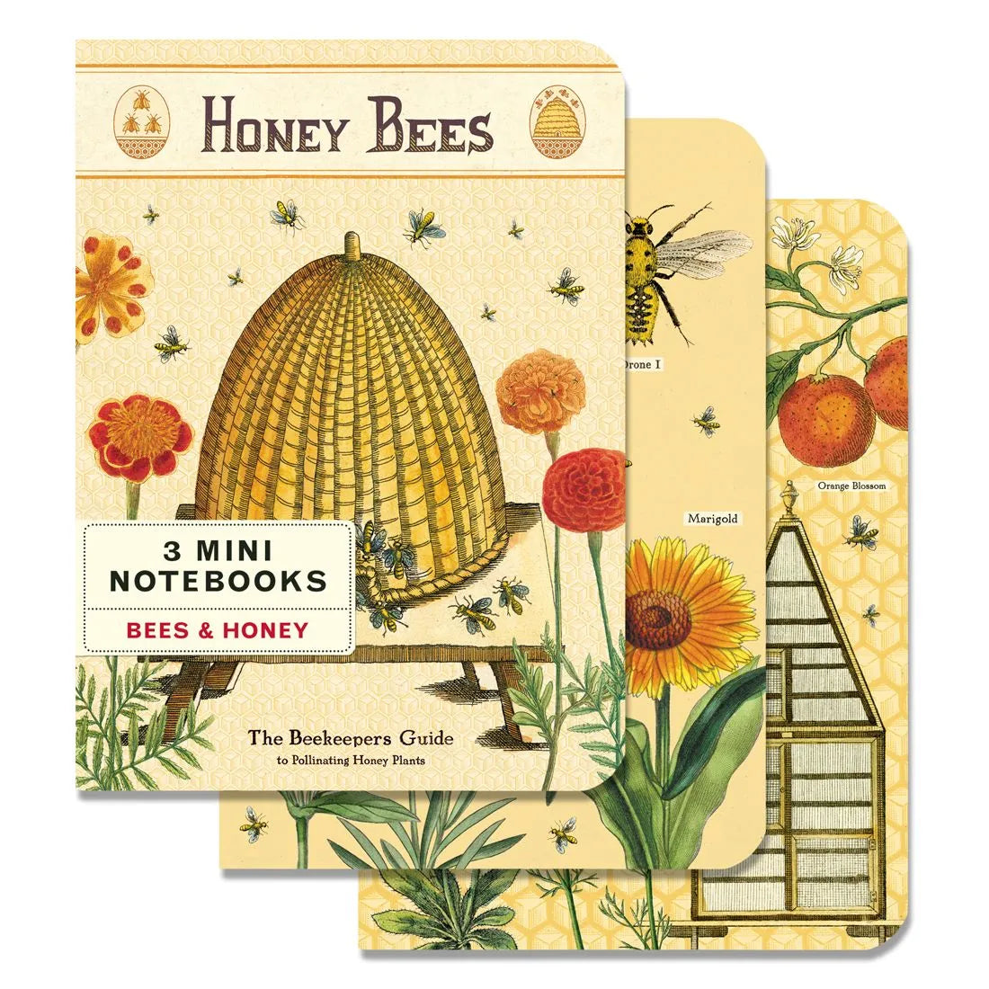 Mini Cuaderno Set *3