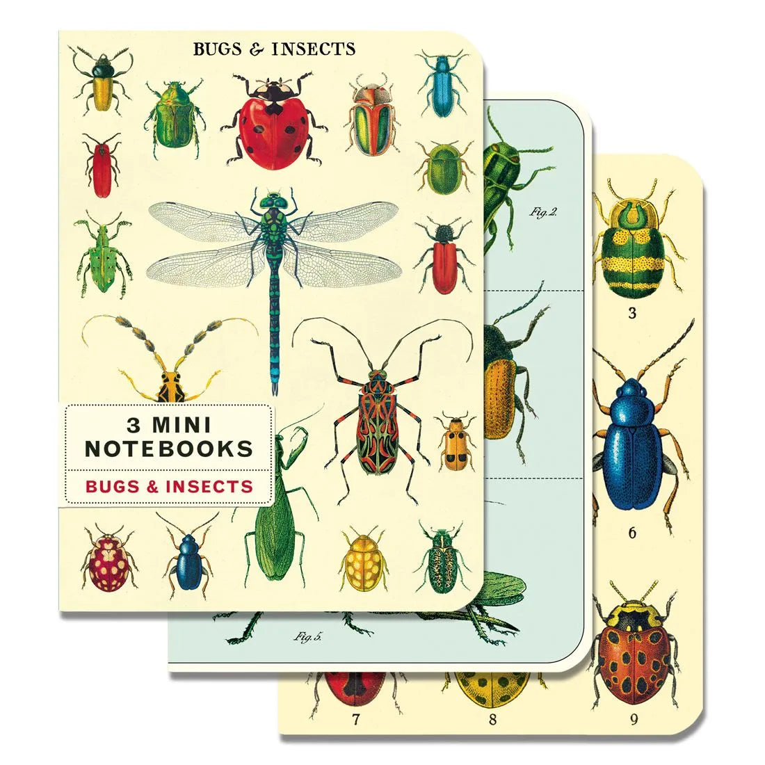 Mini Cuaderno Set *3