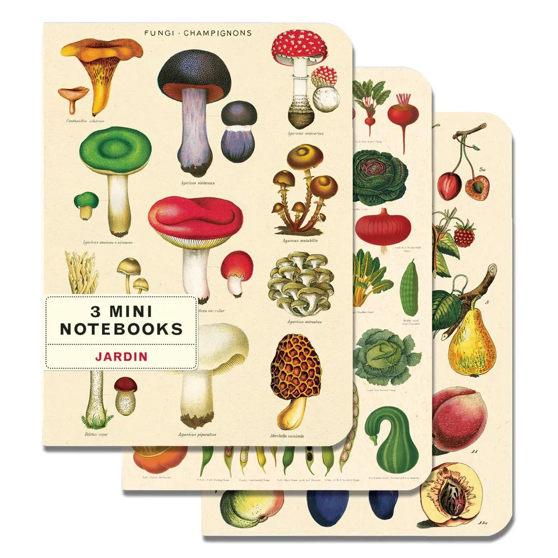 Mini Cuaderno Set *3