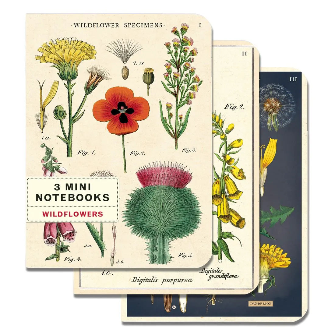 Mini Cuaderno Set *3