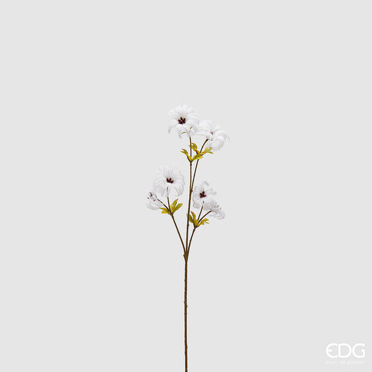 Flor Clematis Blanca