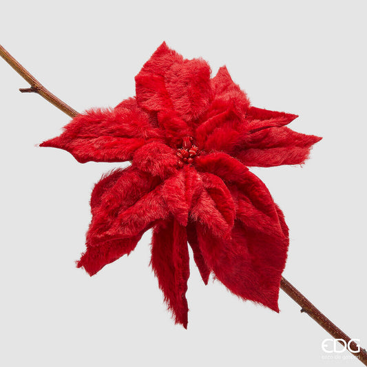 Flor de Pascua Roja Terciopelo