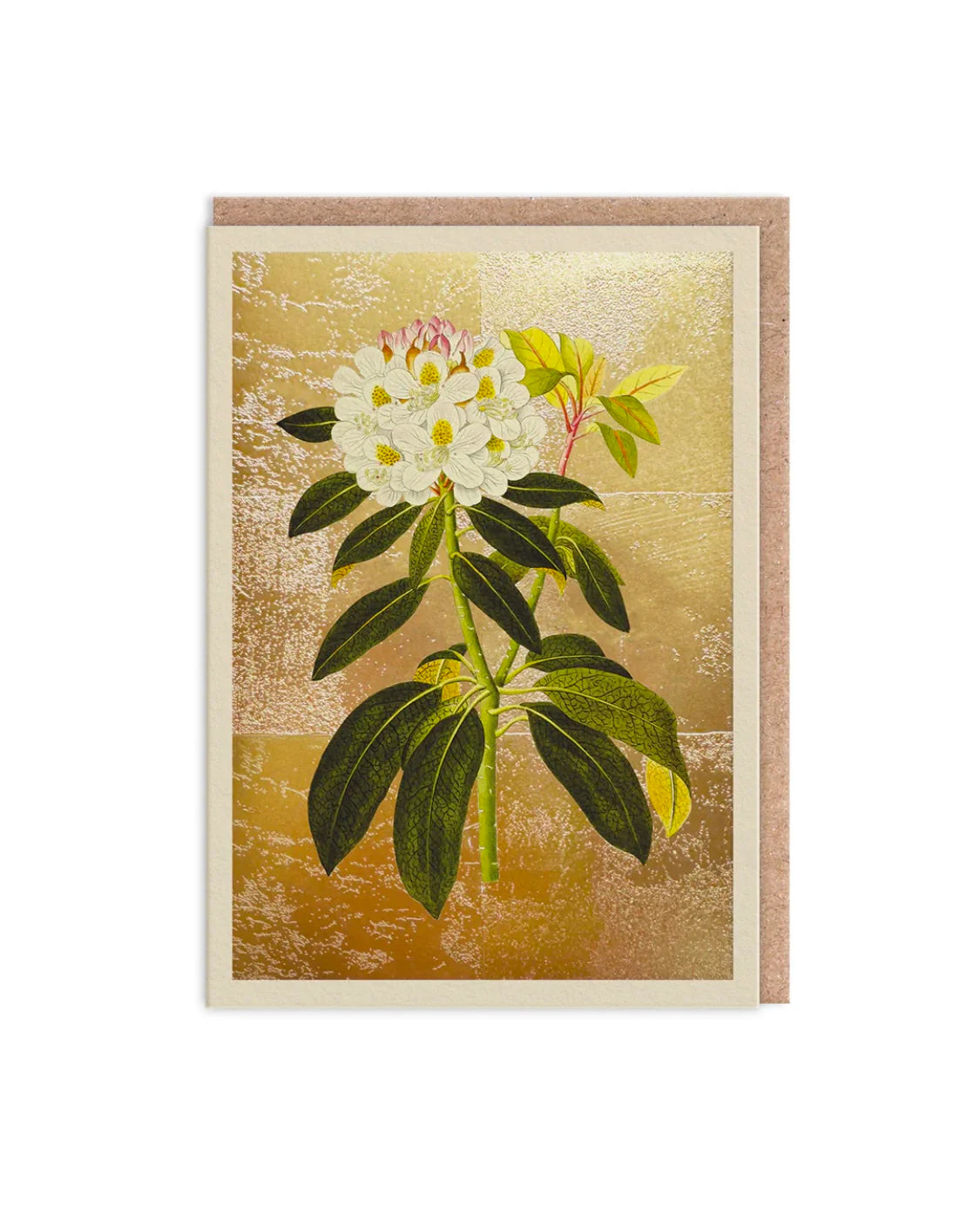 Tarjeta Gold Gold