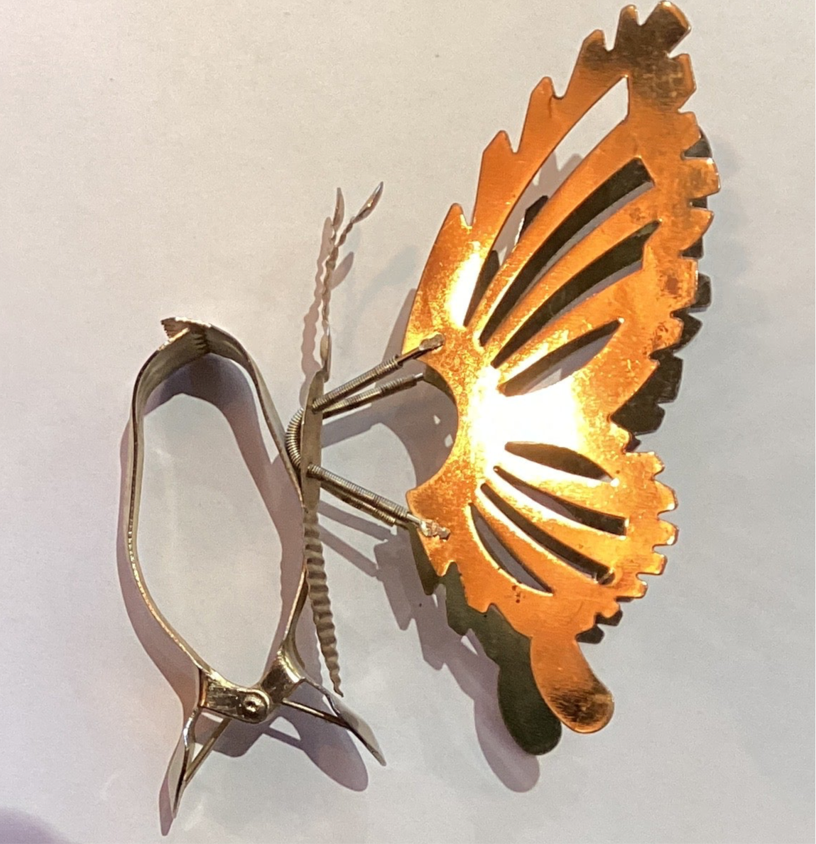 Atrapa Mariposas
