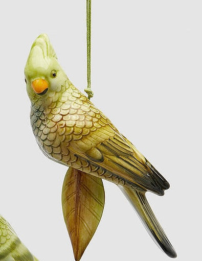 Cacatúa Colgante