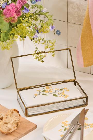 Caja cristal servilletas