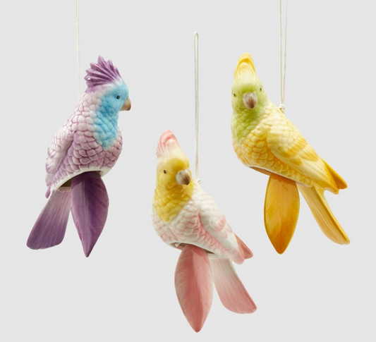 Papagayo Colgante