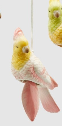 Cacatúa Colgante