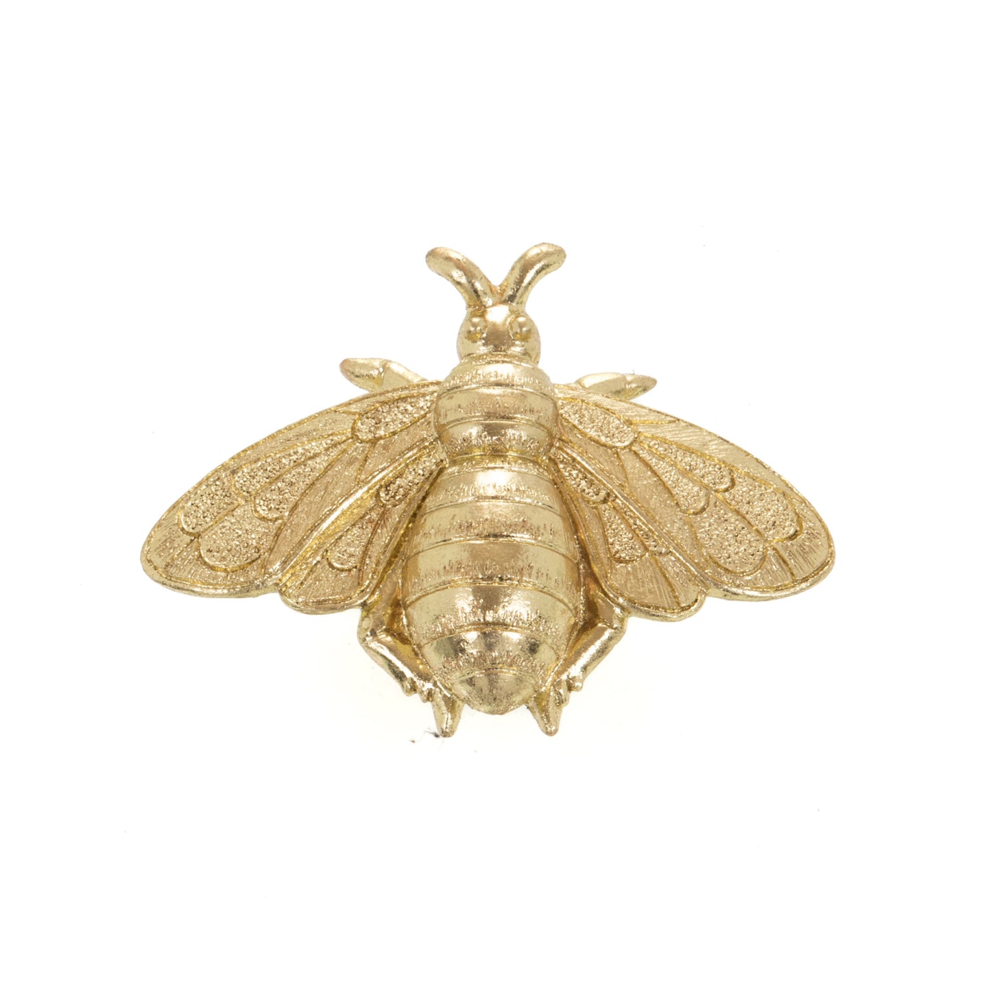 Gold Bee Pareja