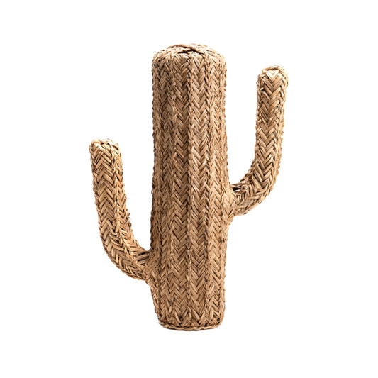 Cactus Deco