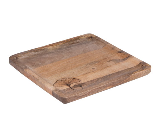 Plato Ginkgo Plano