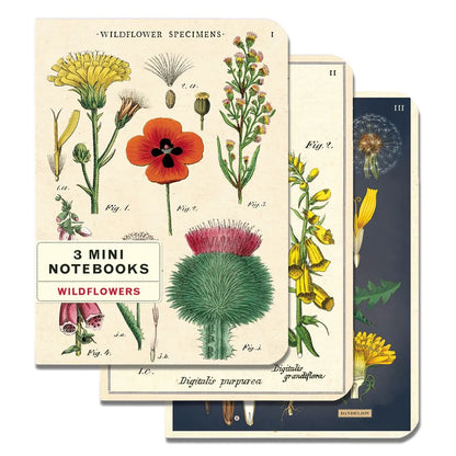 Mini Cuaderno Set *3