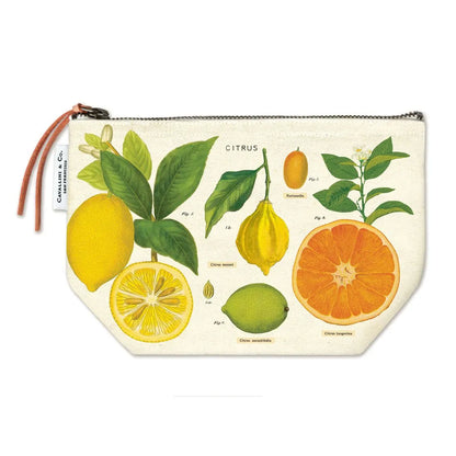 Estuche Vintage