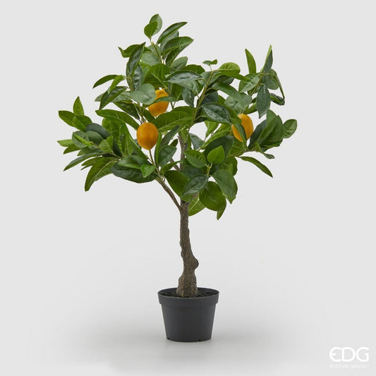 Árbol de limones